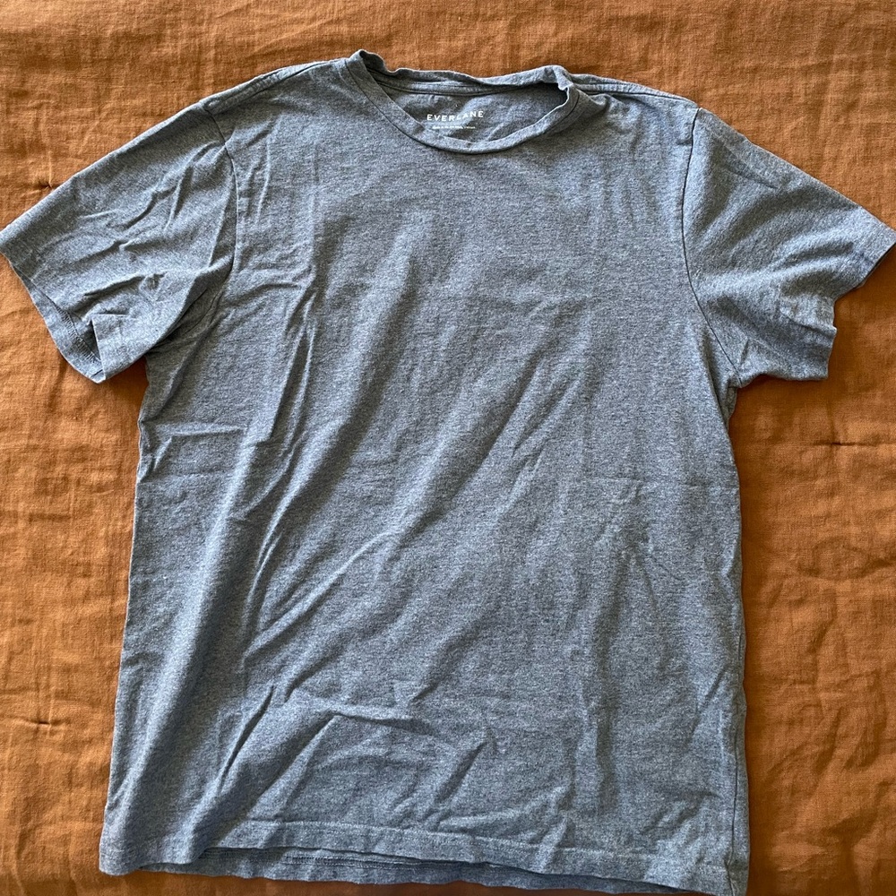 Everlane Grey T-shirt